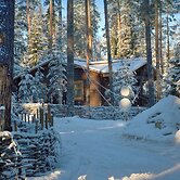 Shishki na Lampushke - Russkaya Derevnya