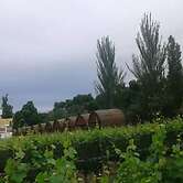 Apartamento entre viñedos