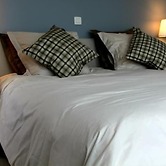 B&B Laurus