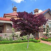 Loloma Bed and Breakfast