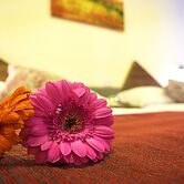 Astro Inn Hotel Express