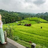 Village Above The Clouds