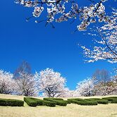 Hotel Laforet Shuzenji