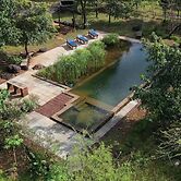 Dudhsagar Plantation