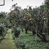 Casa do Pico da Pedra