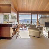 Grey Kangaroo- On Lake Jindabyne foreshore