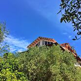 Margarita Apartments