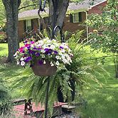 The Ashe Farm Bed & Breakfast