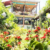 Hotel Casa Chapultepec - Hostel