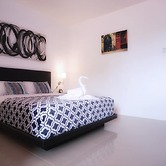 D' Gecko Hotel