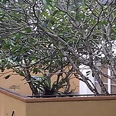 Lakeside Hybrid Villa