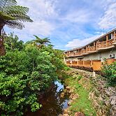 JUNGLE HOTEL Painu Maya