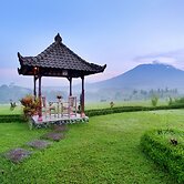 Great Mountain Views