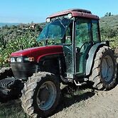 Fattoria di Fubbiano