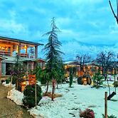 The Orchard Retreat & Spa, Srinagar