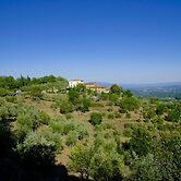 Ventena Vecchia Antico Frantoio