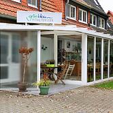grünblau Vitalpension