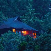 The Tamara Coorg