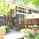 Forest Resort Cosmos