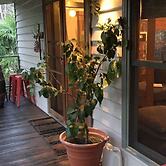 Mystic View Cottage Wandiligong