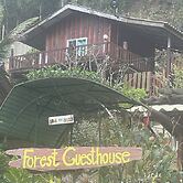 Forest Guesthouse