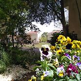 Jordan Valley Birding Lodge