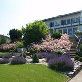 Weingut Pension Bastian