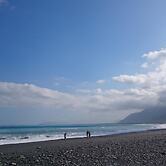 Flower and Green Collection