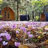 Les Cabanes des Chateaux