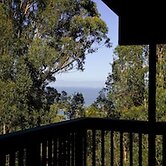 At Marbella Lane - Flamingo Lady, SFO