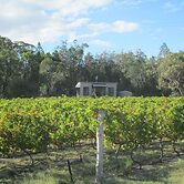 Just Red Wines Vineyard Cabins