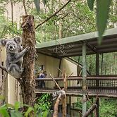 Springwood Meditation Vacation Center