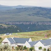 The Living Collective