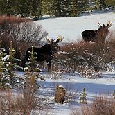 Sugar Loaf Lodge & Cabins
