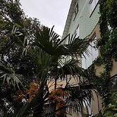 Guest House MishLen