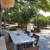 Farm House in Bio Orange Plantation