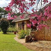 Wide Horizons Mountain Retreat