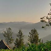 Janardan Tea Resort - Campsite