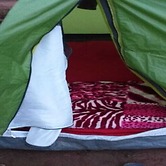 Janardan Tea Resort - Campsite