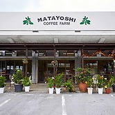Matayoshi Coffee Farm