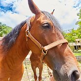 Pousada Villa da Glória