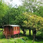 Une roulotte et des chevaux