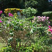 Springle's Quiet Place