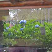 Villa Pajon Eco Lodge