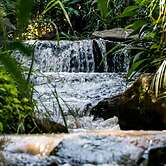 Africa's Eden Guesthouse