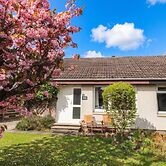 Steam Cottage