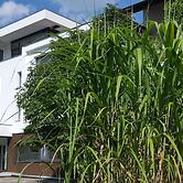 Hotel Scholz