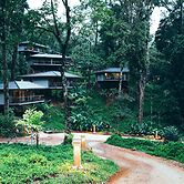 Ayatana Coorg