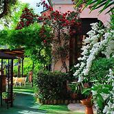 Bed & Breakfast Ristorante Belvedere