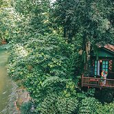 Our Jungle House
